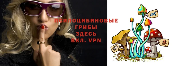 твердый Няндома
