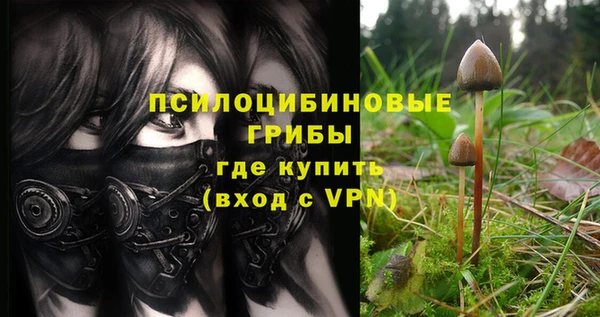 твердый Няндома