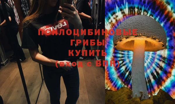 2c-b Нягань