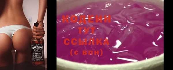 твердый Няндома