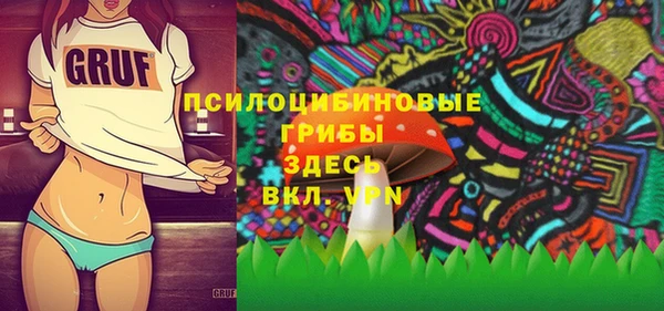 мет Осинники
