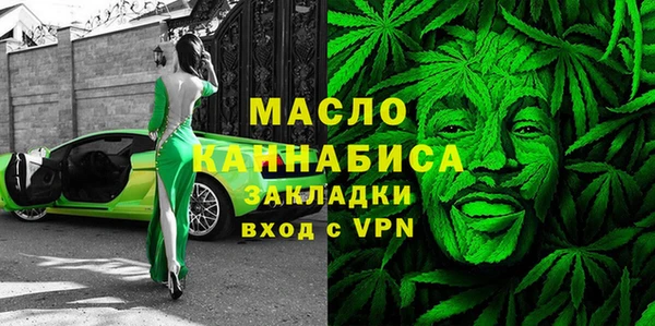твердый Новодвинск