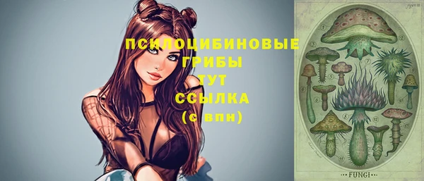 твердый Няндома